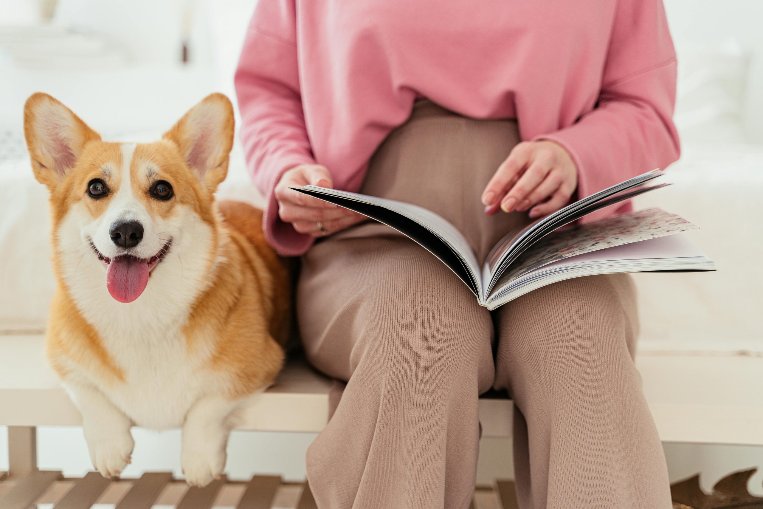 Pet Care Guides